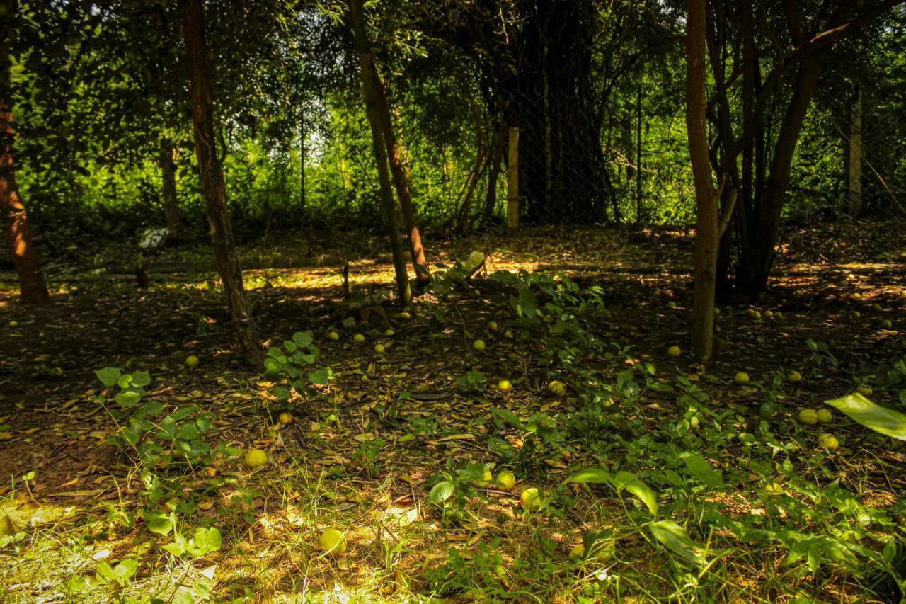 Panna Tiger Resort- Riverside Property Rājgarh Esterno foto