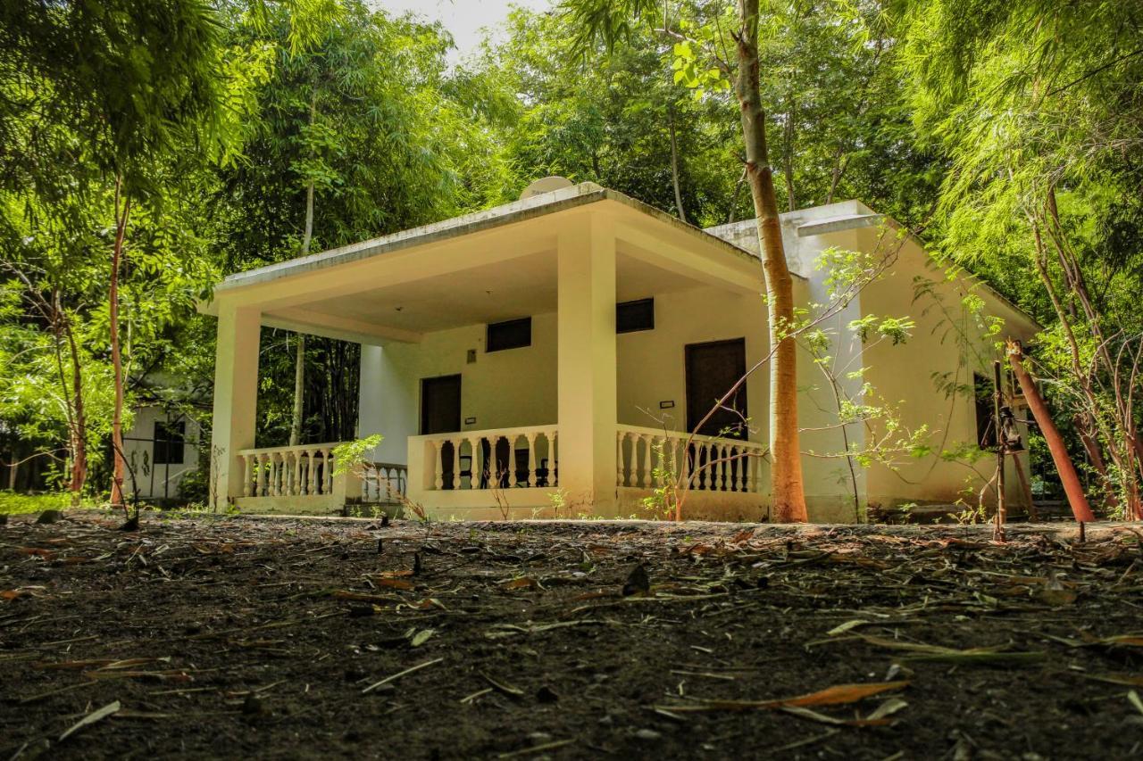Panna Tiger Resort- Riverside Property Rājgarh Esterno foto